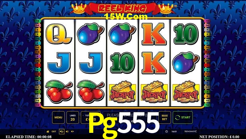 Casino VIP Pg555